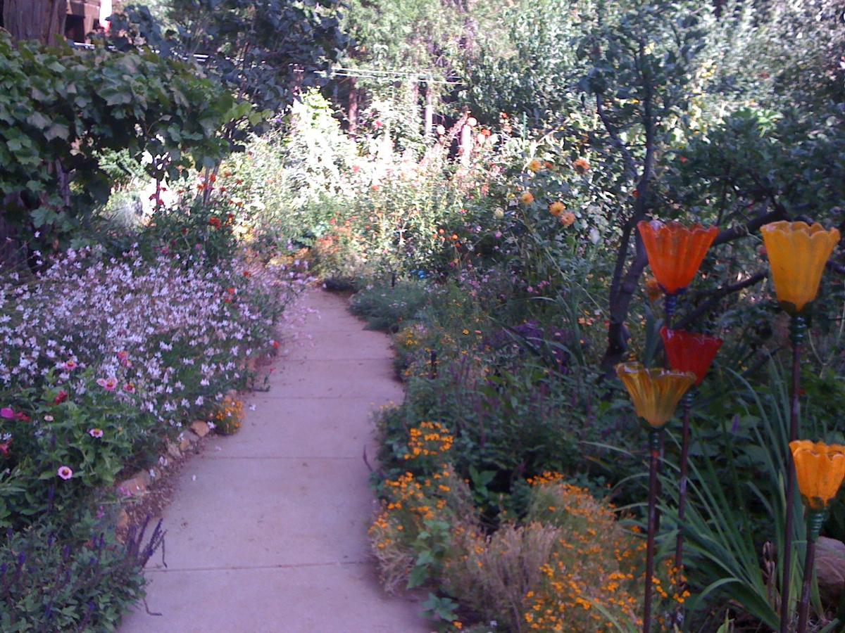 Harmony Ridge Lodge Nevada City Bagian luar foto