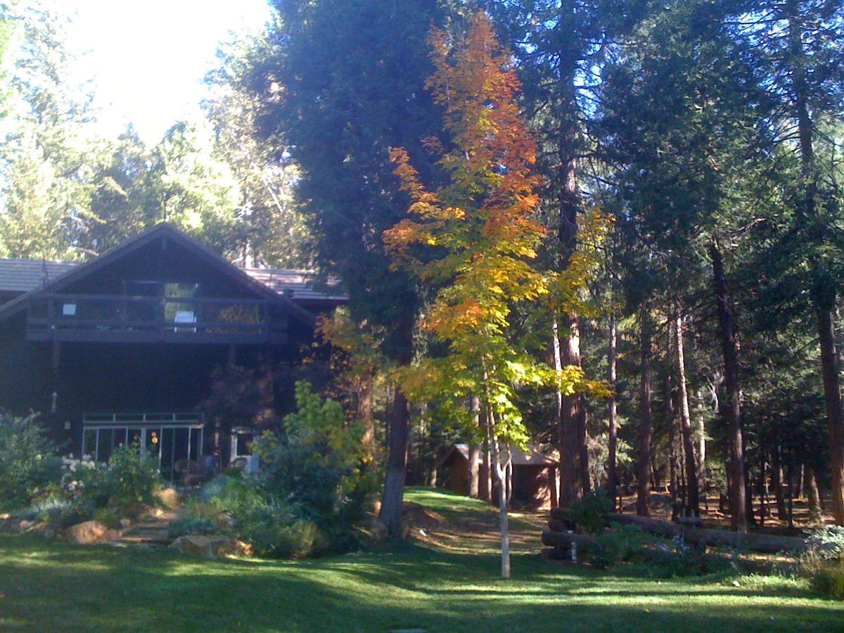 Harmony Ridge Lodge Nevada City Bagian luar foto