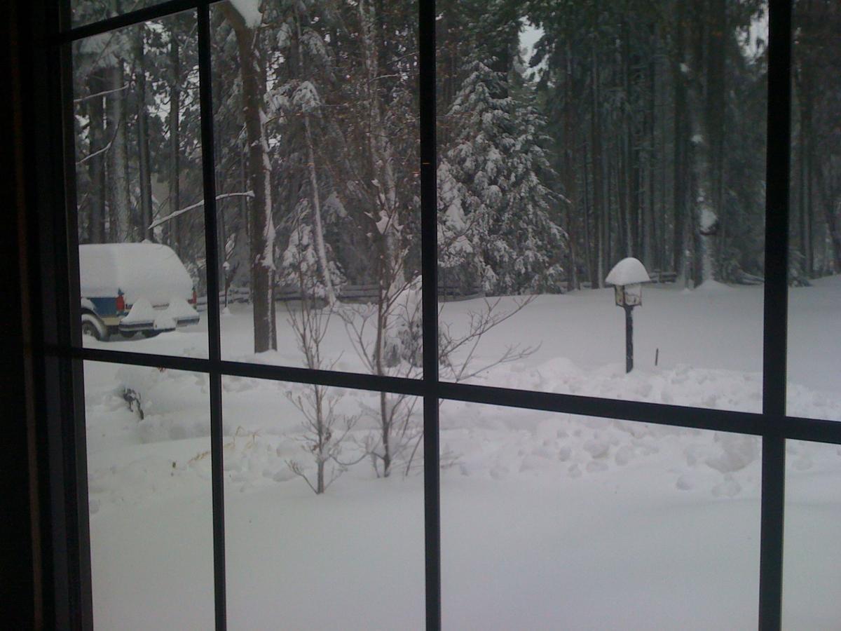 Harmony Ridge Lodge Nevada City Bagian luar foto