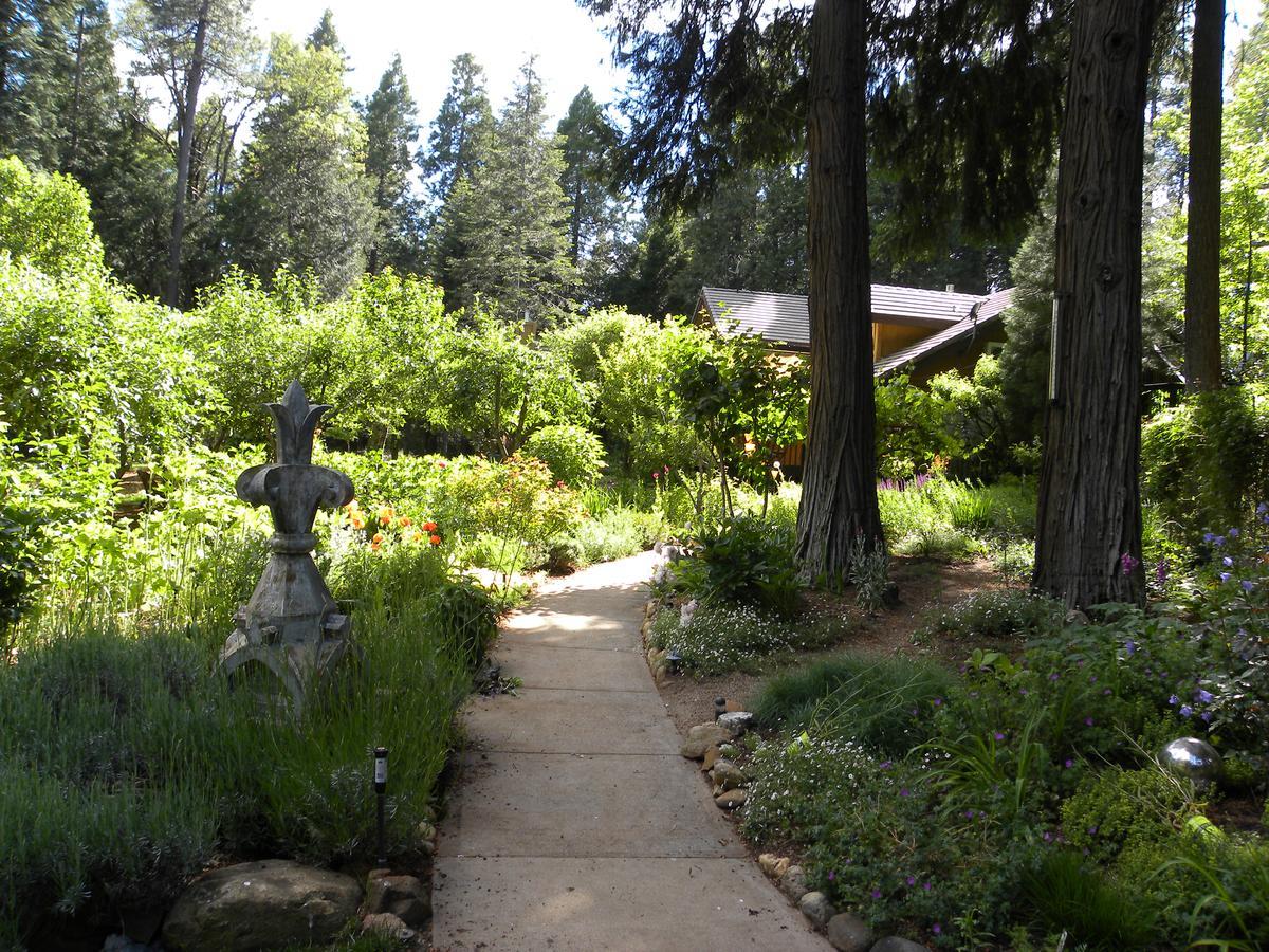 Harmony Ridge Lodge Nevada City Bagian luar foto