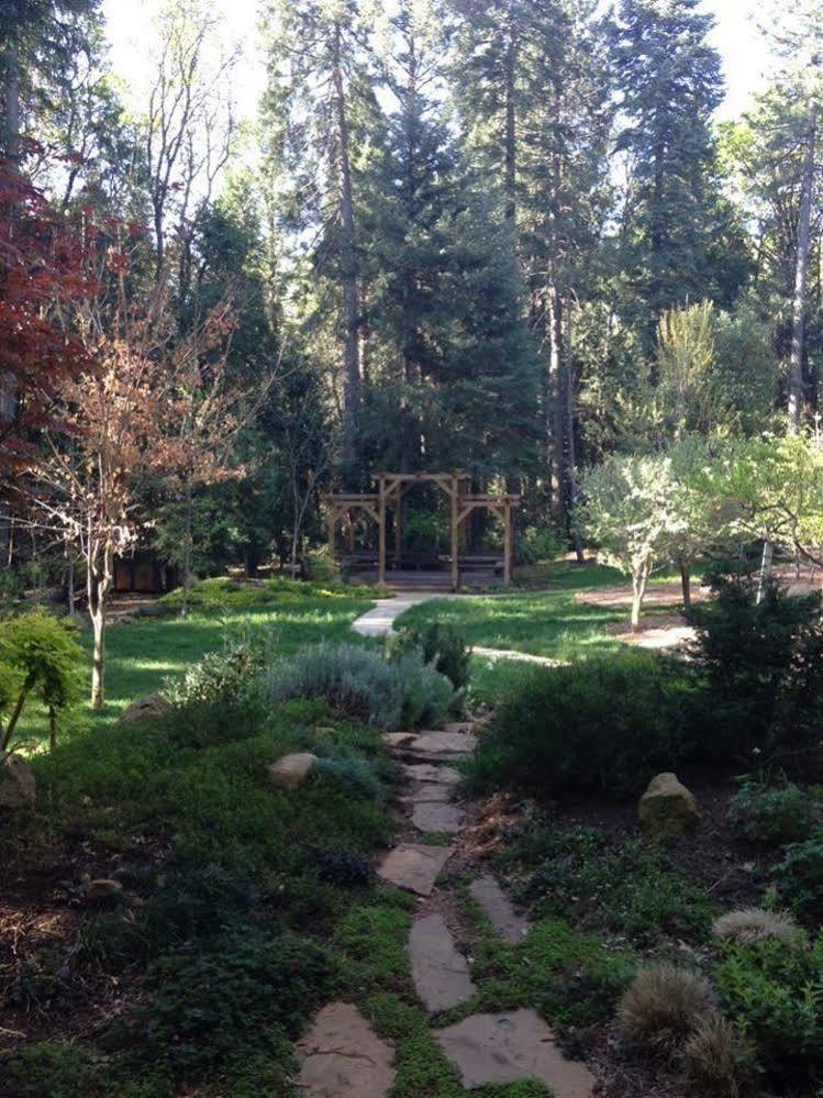 Harmony Ridge Lodge Nevada City Bagian luar foto