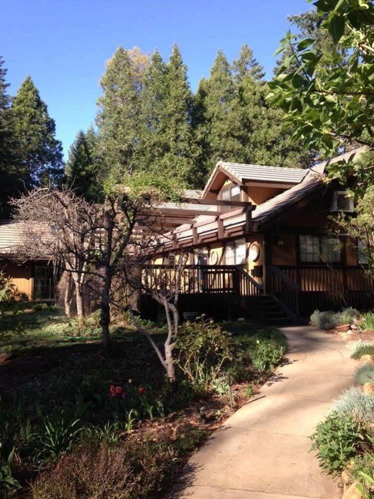 Harmony Ridge Lodge Nevada City Bagian luar foto