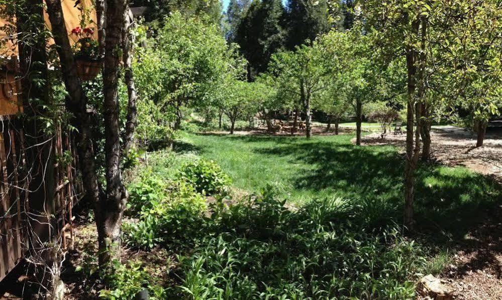 Harmony Ridge Lodge Nevada City Bagian luar foto